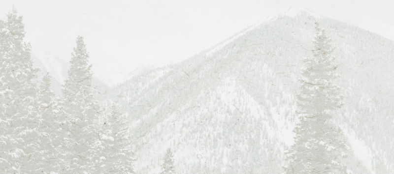 A landscape of snowy mountains covered in evergreen trees.