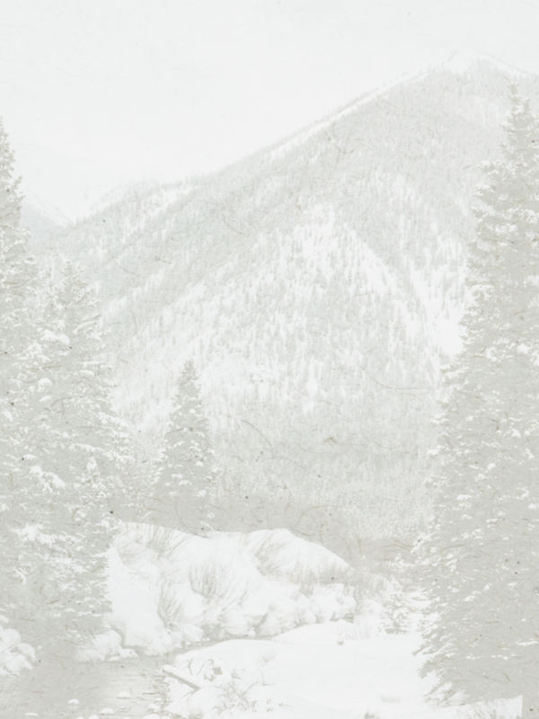 A landscape of snowy mountains covered in evergreen trees.