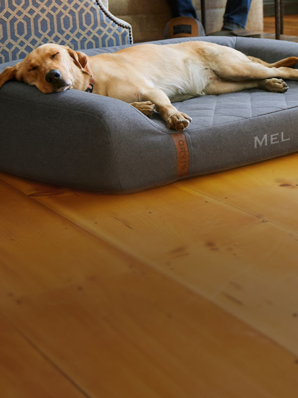 A yellow Labrador retriever asleep in a gray memory foam couch bed.
