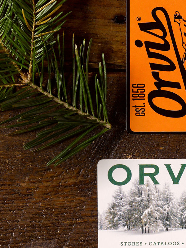 Two Orvis gift cards and a pine tree sprig laid on a wooden background.
