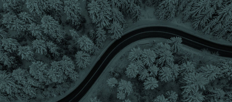 A snowy pine forest with a road winding through it overlaid with teal.
