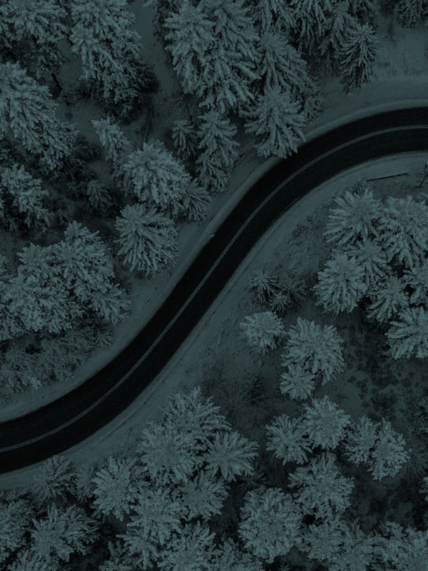 A snowy pine forest with a road winding through it overlaid with teal.