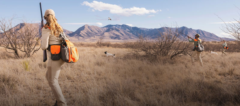 Three hunters in a field with dogs running in front of a background of barren mountains.