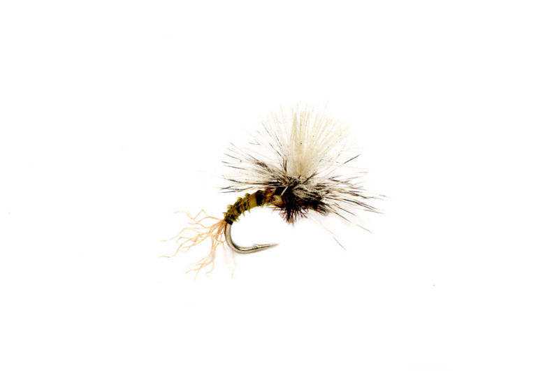orvis midge/nymph オービス　ミッヂニンフ TH Zebra Stillwater Midge Fly Pattern | Orvis