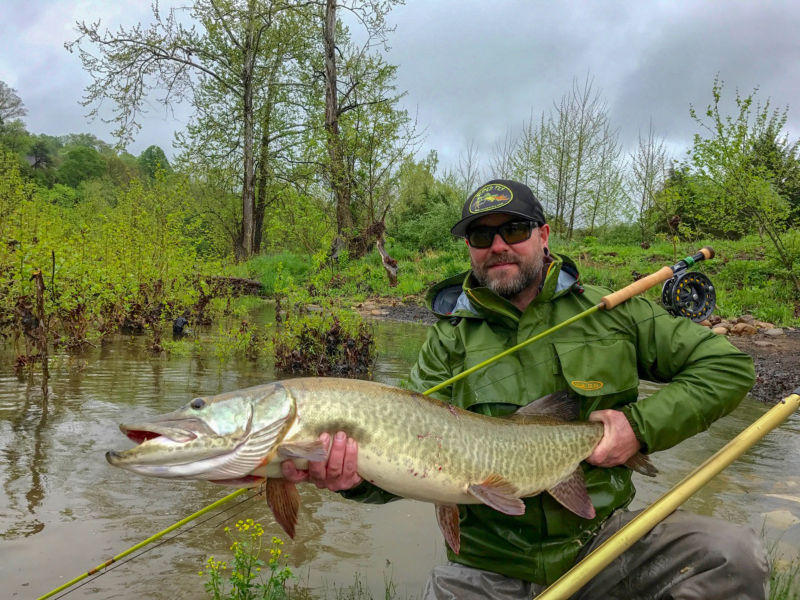 Matt Miles, VA -  image number 0