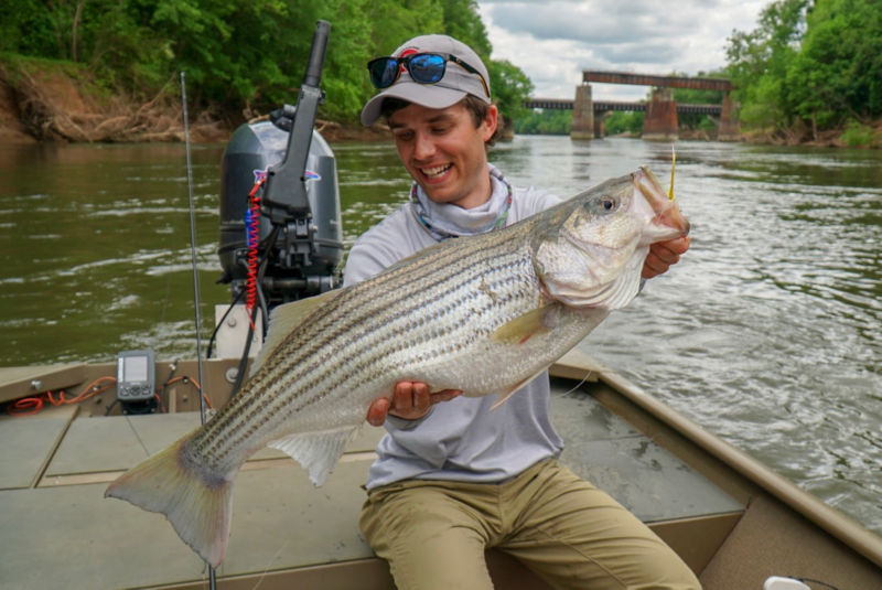 Matt Miles, VA -  image number 4