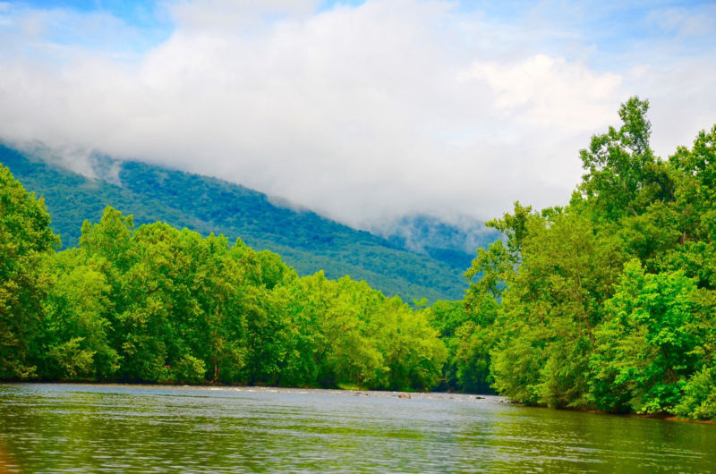 Matt Miles, VA -  image number 5