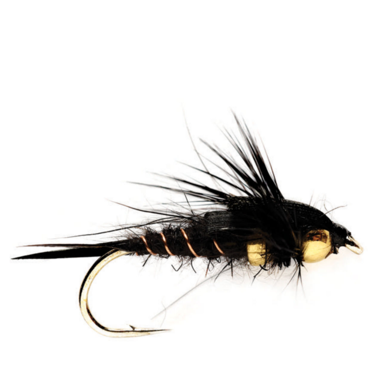 Tunghead Stonefly -  image number 0