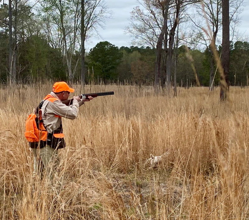 George Hi Plantation, NC - 