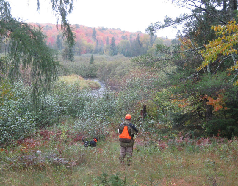 Mark Nissen &ndash; Classic Bird Hunts, WI - 