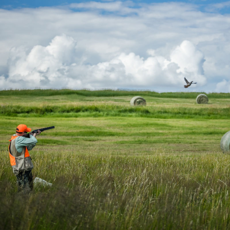 Brush Creek Ranch, WY -  image number 1