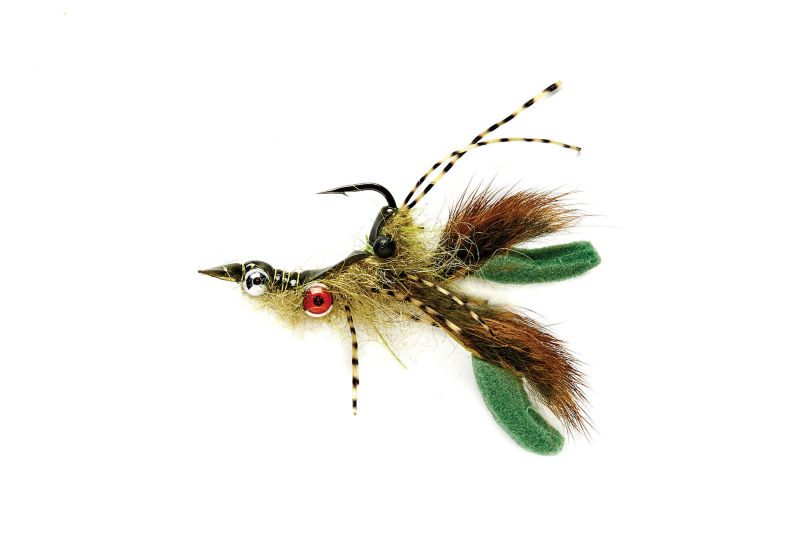 Come at Me Cray - OLIVE