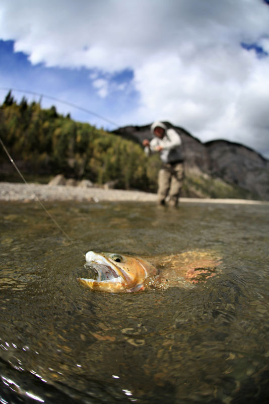 Out Fly Fishing, AB -  image number 4