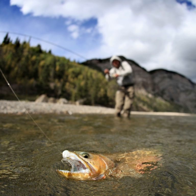 Out Fly Fishing Outfitters, AB -  image number 4