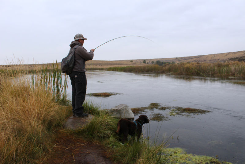 Ellensburg Angler, WA -  image number 4