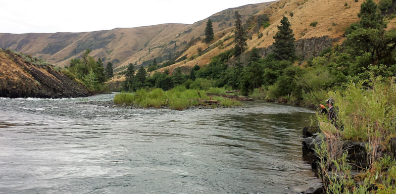 Ellensburg Angler, WA -  image number 5