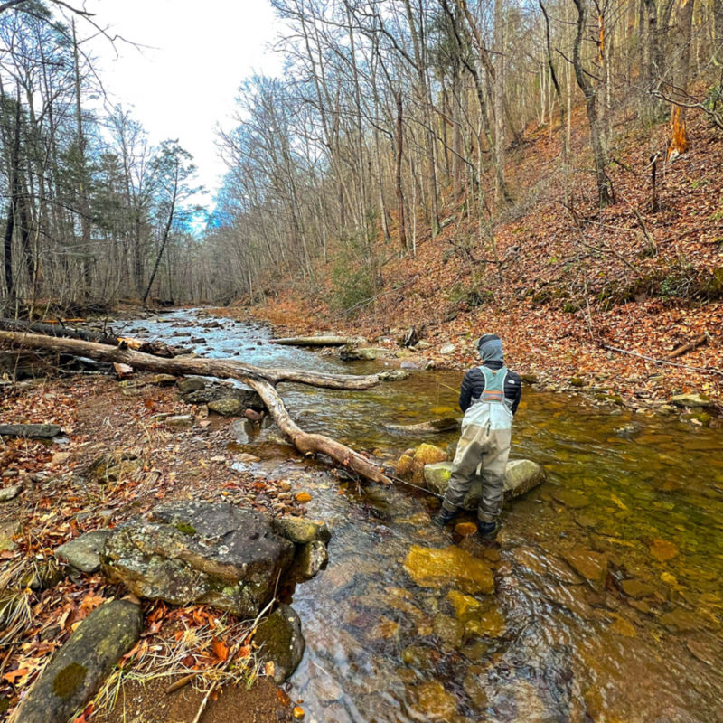 Mossy Creek Fly Fishing, VA -  image number 2