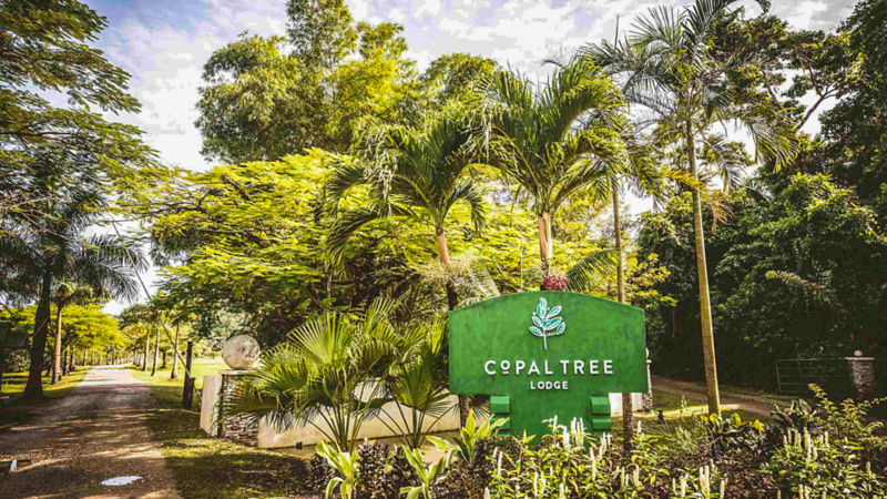 Copal Tree Lodge Belize Adventure Lodge | Orvis