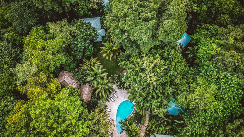 Copal Tree Lodge -  image number 5