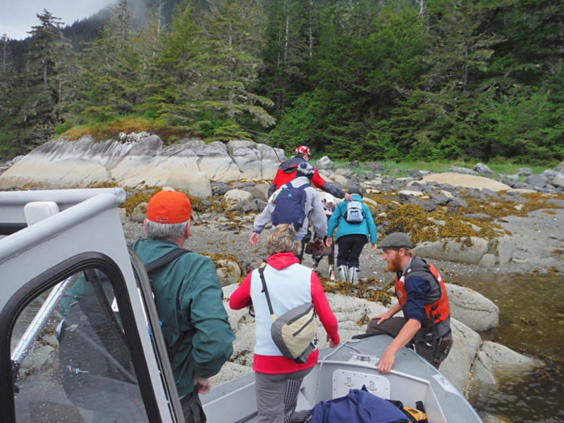 Alaska Adventure Cruise With The Boat Company -  image number 1
