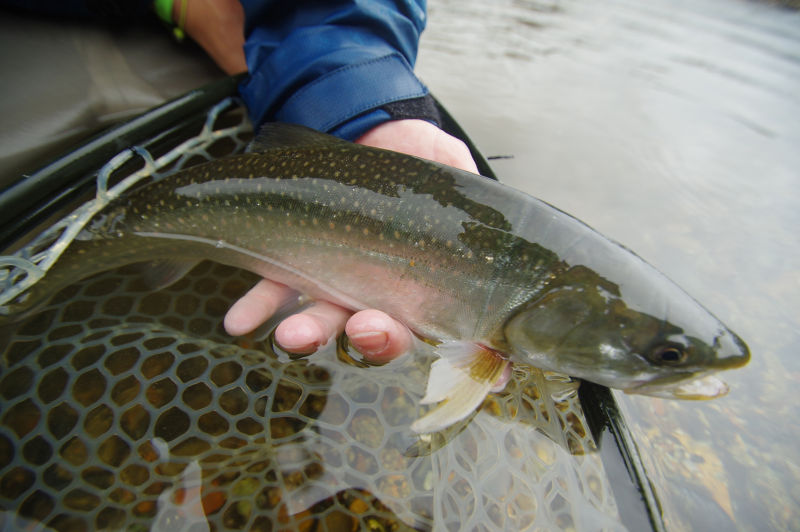 Alaska Adventure Cruise With The Boat Company - Image 9