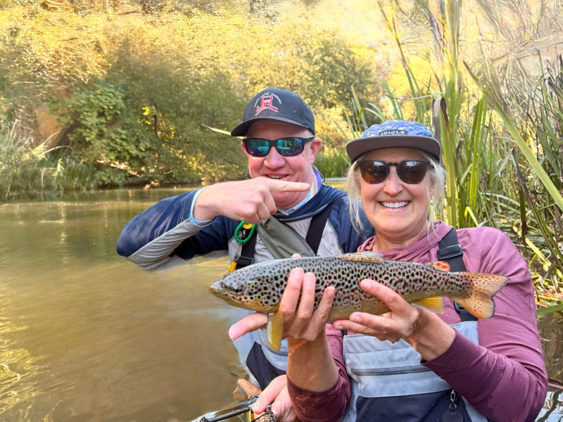 SALVELINUS, Spain -  image number 5