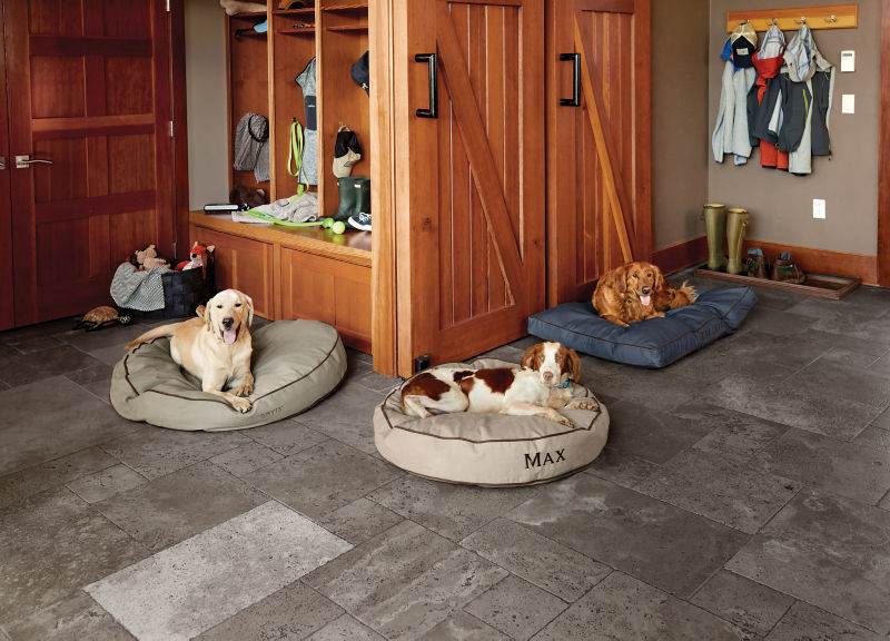 Three dogs lay on separate dog beds in a wood-walled mudroom.