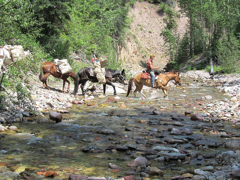 Bob Marshall Wilderness Float Trip, MT - 