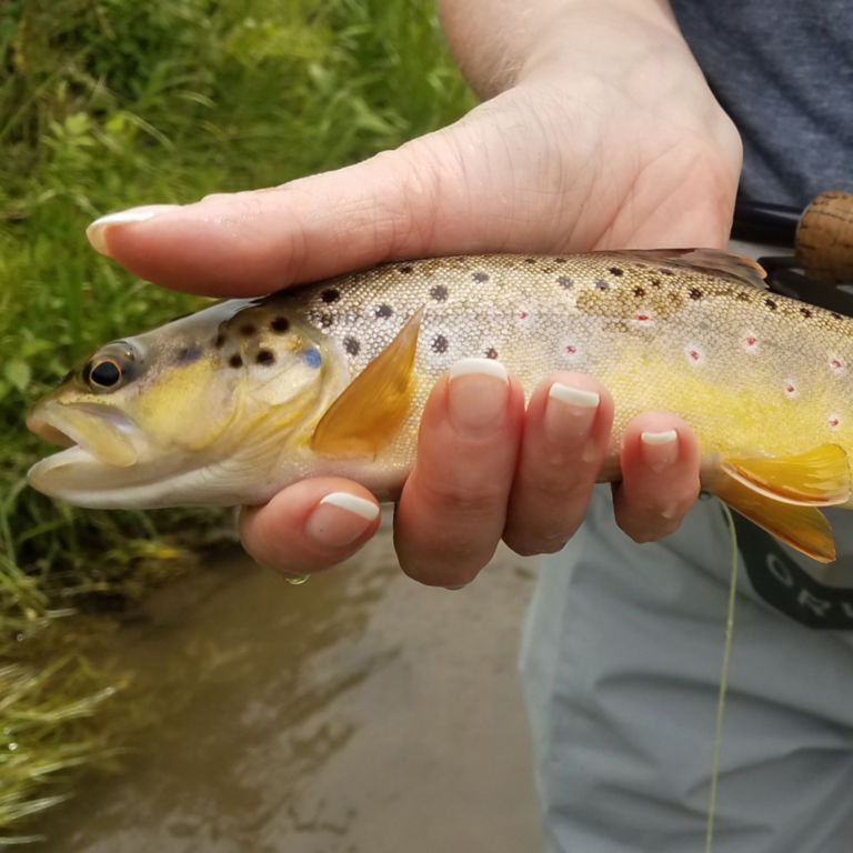 The Driftless Fly Fishing Company -  image number 2