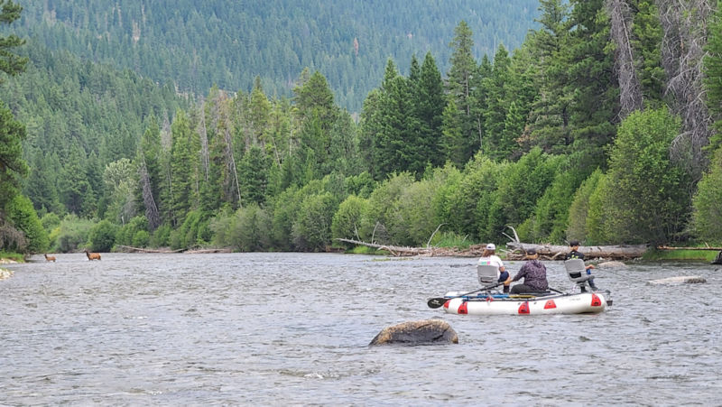 Bitterroot Fly Company, Outfitter / Fly Shop -  image number 2