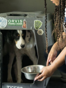 A woman bending down offering a dog in a crate some food in a metal bowl