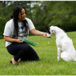 Melinda working with her dog using a green marker