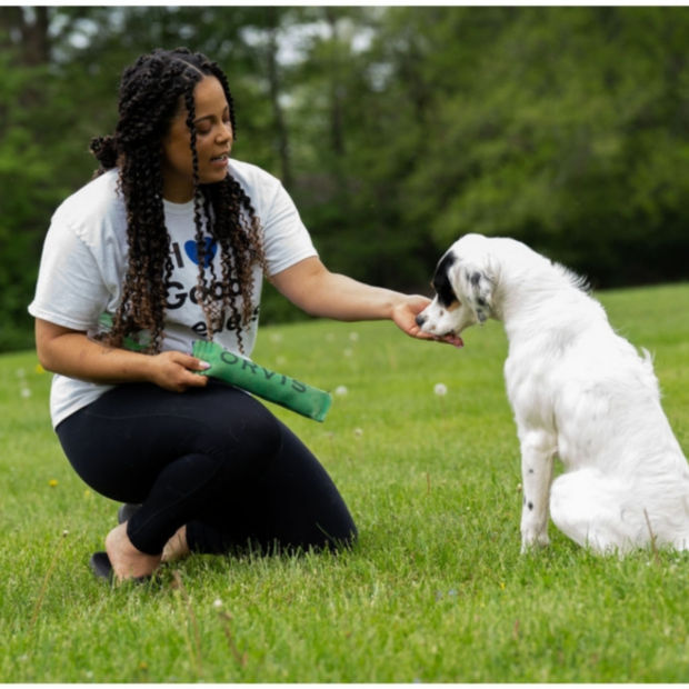 Melinda kneeling in the grass while training her white dog