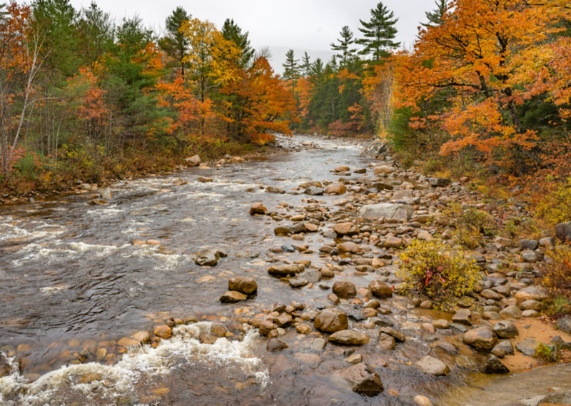 New Hampshire river surrounded by colorful autumn leaves