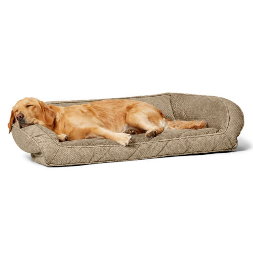 A golden Labrador Retriever asleep on a brown tweed dog bed