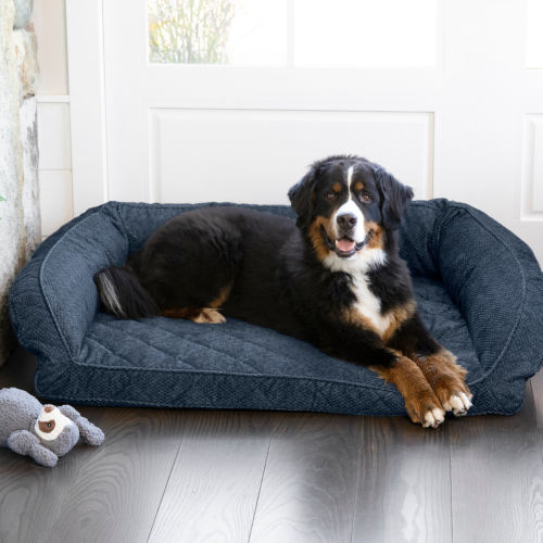 A large dog laying on a navy tweed bolster dog bed