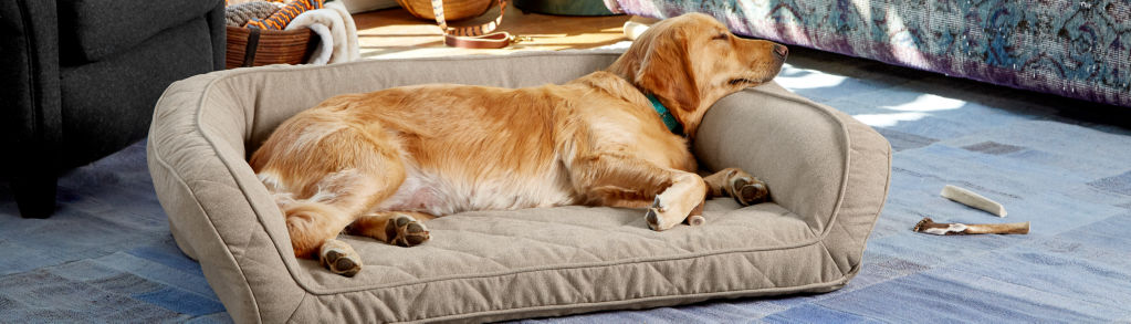 A yellow Labrador Retriever asleep on a khaki bolstered dog bed inside a living room.