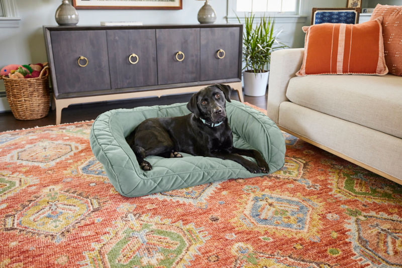 A black dog rests on an aqua bolster bed.
