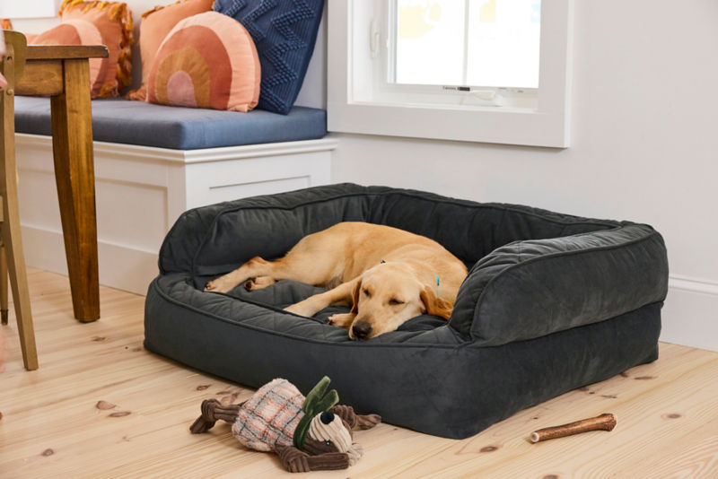 A yellow lab laying on a black couch bed.