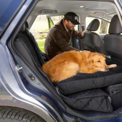 A golden retriever laying on a black couch bed in the back seat of a car