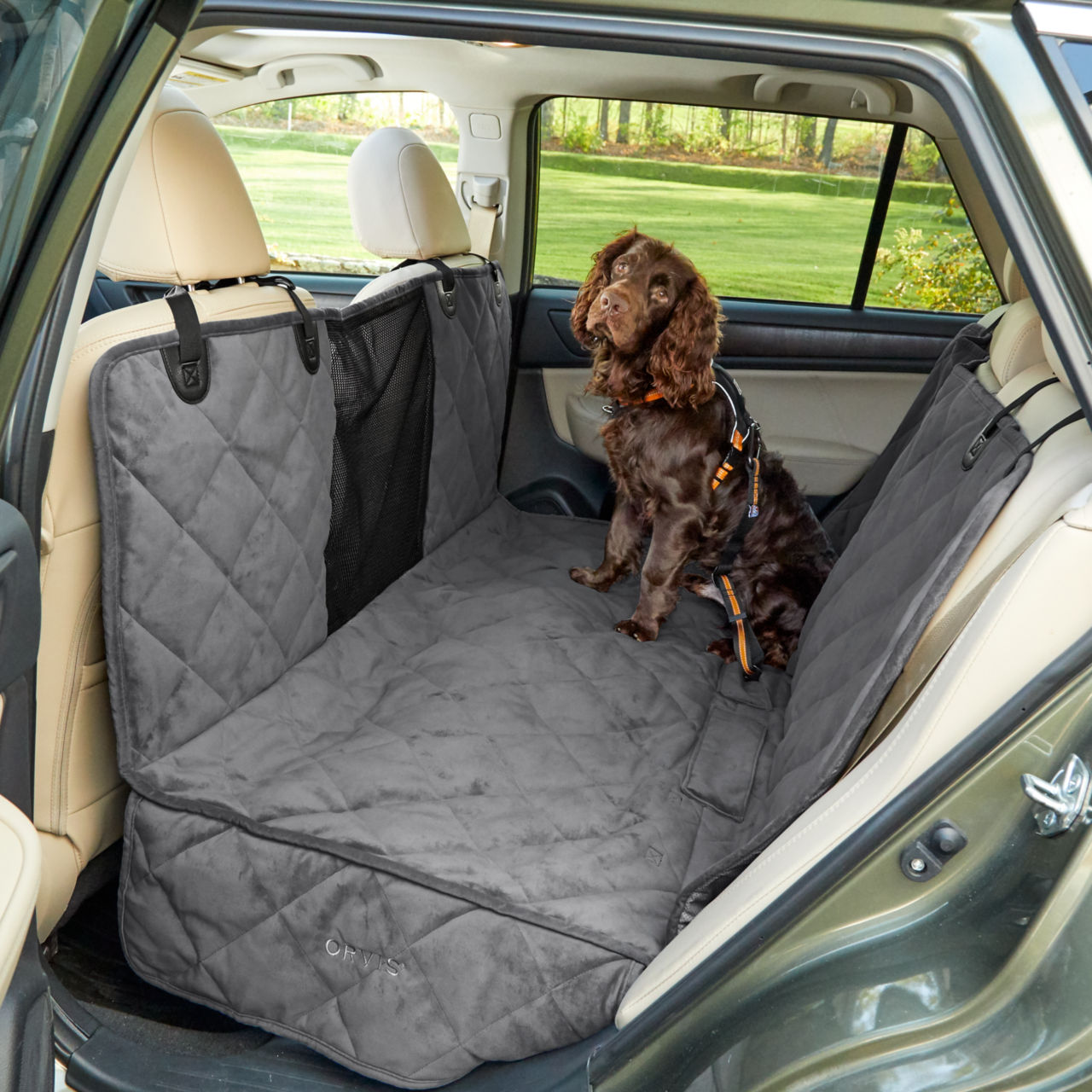 Kurgo® Seatbelt Buckle Dog Tether -  image number 1