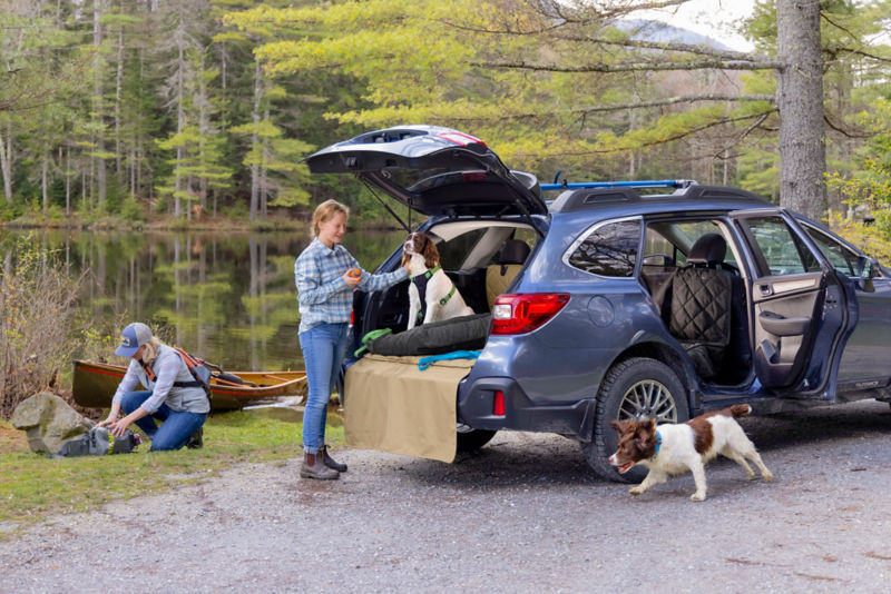 Two women and their dogs in the woods near their car