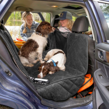 A pair of dogs settle into the backseat cover as their owners prep to leave.