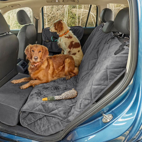 Two dogs in the backseat of a car on a seat protector
