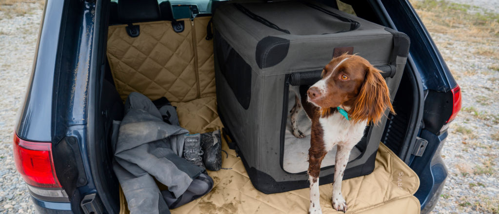 A dog in the back of a car along with a Orvis Hose-Off Folding Travel Crate