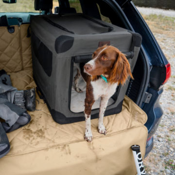 A dog in a Hose-Off Travel Crate in the back of an SUV.