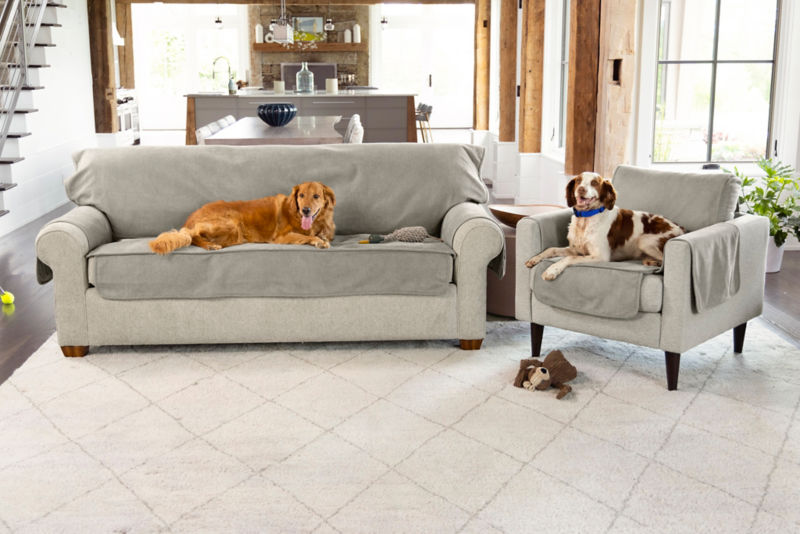 Two dogs sitting on a couch and chair covered with furniture protectors