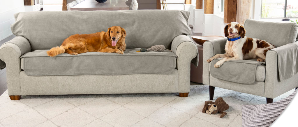 It’s Easy to Create a Great-Looking, Dog-Friendly Home
