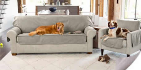 A golden retriever lays on a furniture protector over a gray couch