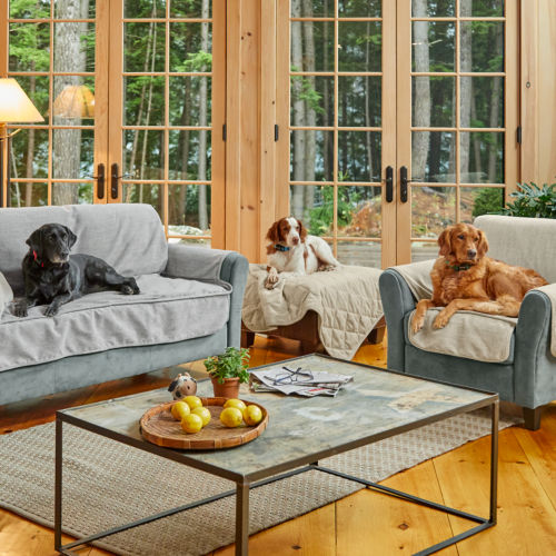 Three dogs sitting on furniture protectors in a living room